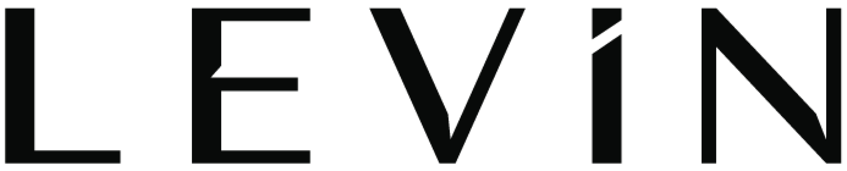 LEVíN Logo